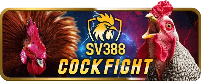 Đá gà s88vip win